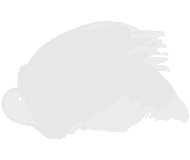 Главная 22 20864