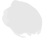 Главная 25 20866